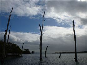 Kayaking southern-most to northern-most points of Lake Macquarie