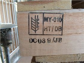 timber identification 003