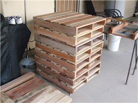 timber identification 001