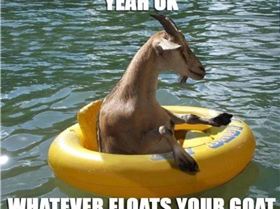 484044 465087230169793 1810565911 n