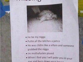 215499 417336864999058 487334018 n