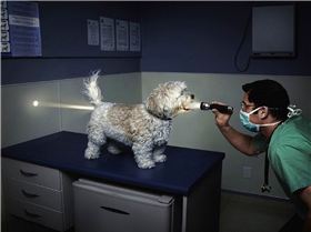 Best-top-desktop-funny-wallpapers-hd-funny-wallpaper-picture-image-19