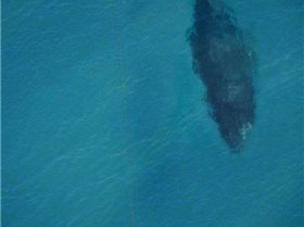 20120917095736 image39