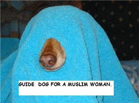 muslim guide dog
