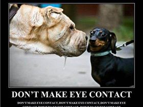 dontmakeeyecontact