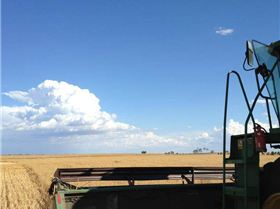 quality slightly reduced