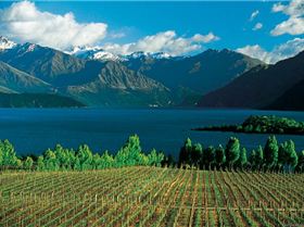 Screen Shot 2012-11-21 at 9.12.58 PM