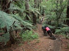 Screen Shot 2012-11-21 at 9.29.05 PM