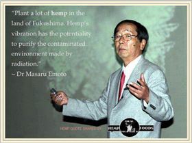 208915 416323835084483 642373973 n