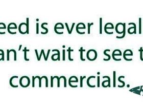 269779 413555232043888 440013444 n