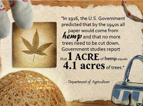 303694 502920579736175 1353008802 n