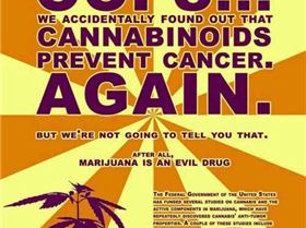 316801 320130988085531 803560474 n