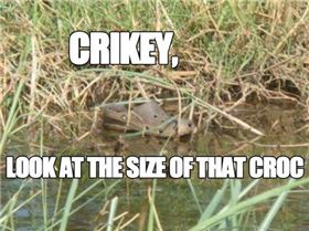 Crikey