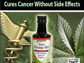 394984 373460739410283 1085542055 n