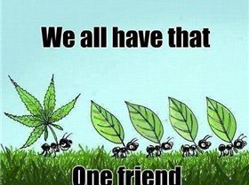 76483 480437631998983 1352942590 n