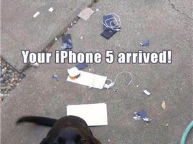 77054 543074022387103 2004956077 n