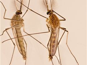 2012-12-01-14.52.50 ZS retouched