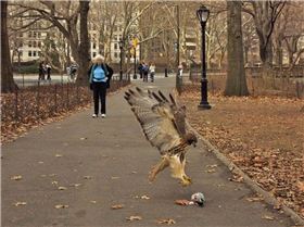 Screen shot 2013-01-11 at 7.35.08 AM