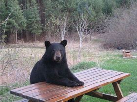 Screen shot 2013-01-11 at 7.35.31 AM