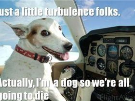 dog-flying-plane-turbulence