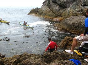 Landing 6 composite sea kayaks on Albatross Island