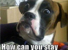 someones-at-the-door