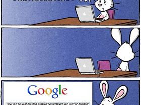 funny-bunny-google-question