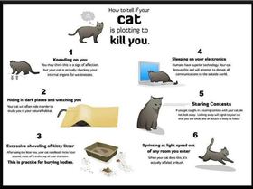 397394 10151394421695155 2063721716 n