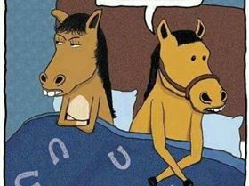 68952 448777488527485 2095722943 n