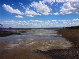 Sandstone Point low tide