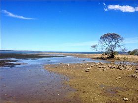 Sandstone Point low tide