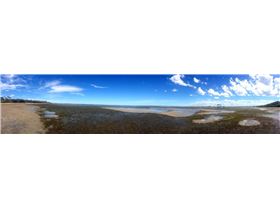 Sandstone Point low tide