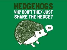 hedgehogs