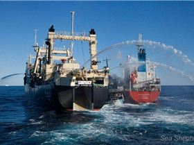 482681 10151461640248259 129368721 n