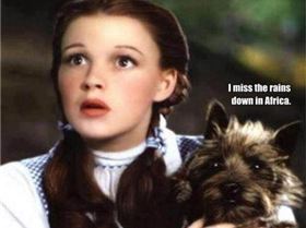 544293 452948721443695 304818483 n