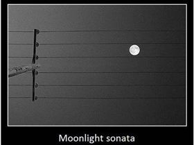 cool-night-moon-song