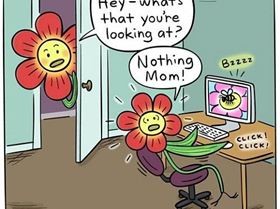 funny-flower-computer-bee