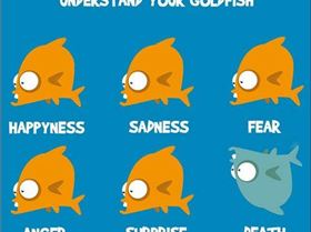 funny-goldfish-understanding-dead