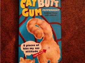 cats butt