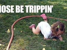 549959 520062641393146 274284515 n