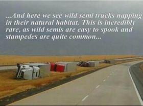 ShhhBeVeryVeryQuiet-71703