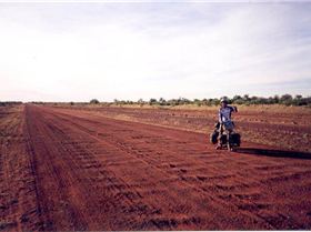 japanese cyclist (Small)