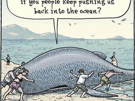 funny-comic-whale-evolution