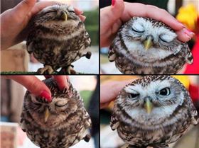 72674 492123460823164 322712797 n