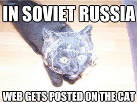 535500 520071404725603 1882906870 n