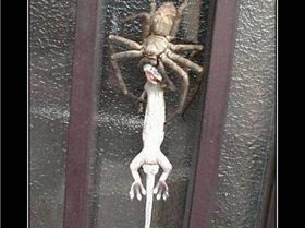 479993 530403503692393 197102359 n