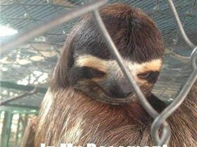 534052 451231914958174 1753090641 n