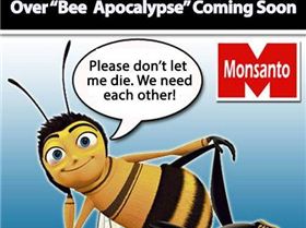 312189 415076258589600 1026292081 n