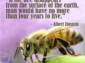 375033 535933483133523 607511356 n