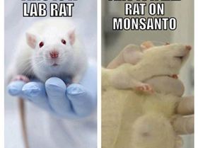 481871 636220533073700 1117457818 n